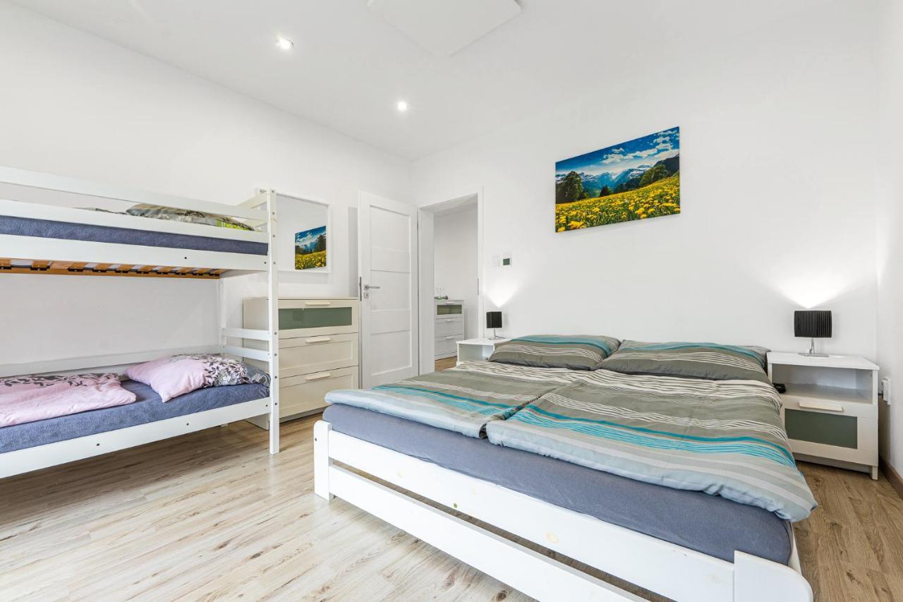 Wellness Villa Klinovec Views Loučná pod Klínovcem Eksteriør billede