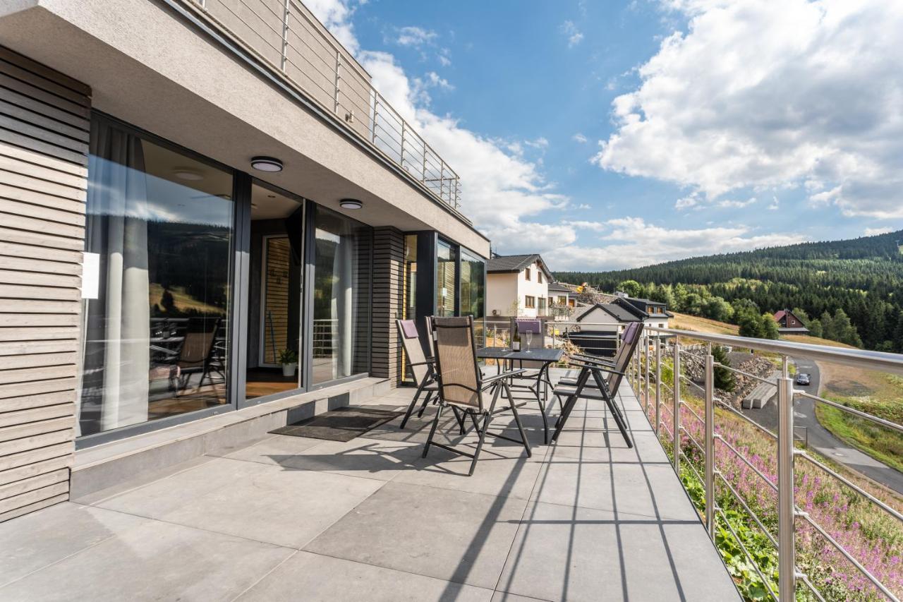 Wellness Villa Klinovec Views Loučná pod Klínovcem Eksteriør billede