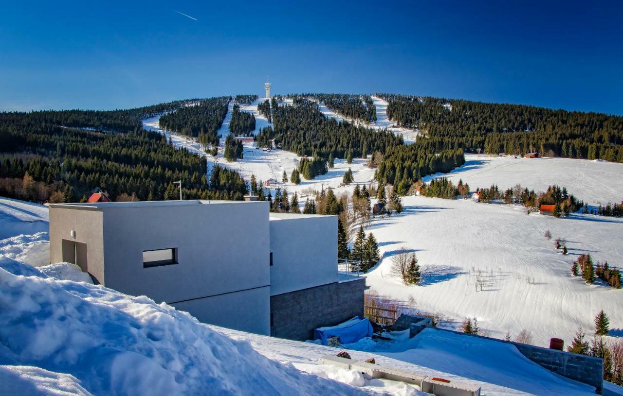 Wellness Villa Klinovec Views Loučná pod Klínovcem Eksteriør billede