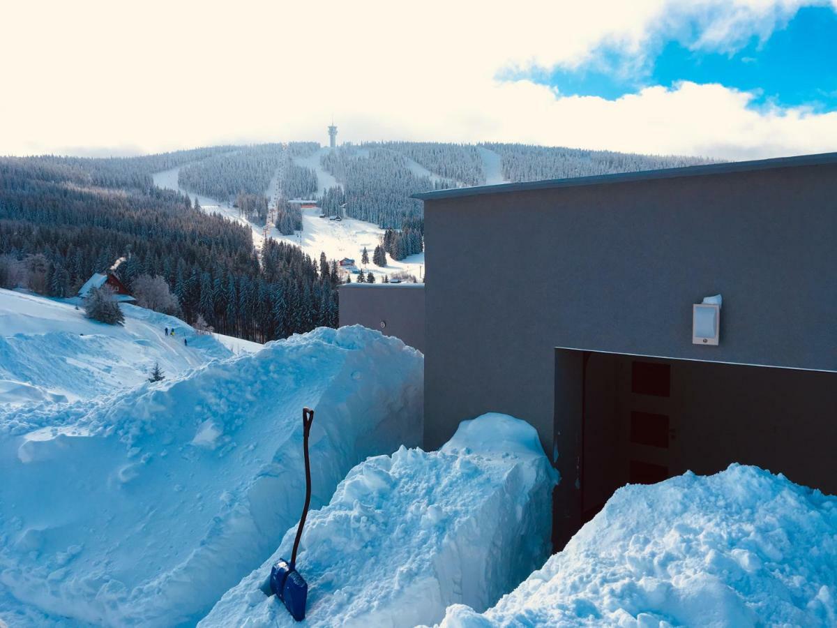 Wellness Villa Klinovec Views Loučná pod Klínovcem Eksteriør billede