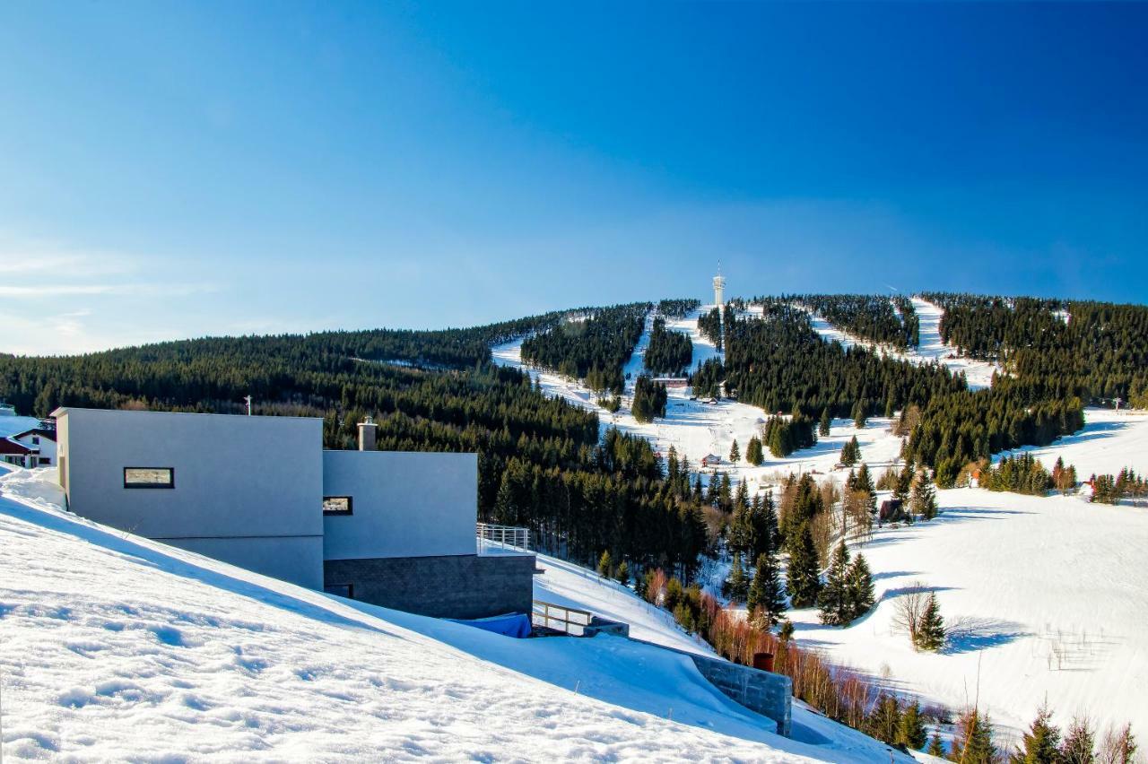 Wellness Villa Klinovec Views Loučná pod Klínovcem Eksteriør billede